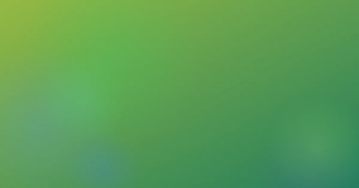 五虎将测评：这些坑别踩